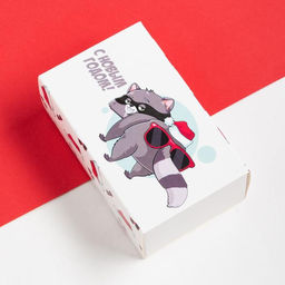 Носки мужские новогодние «Енот» размер 41-44, набор 2 пары