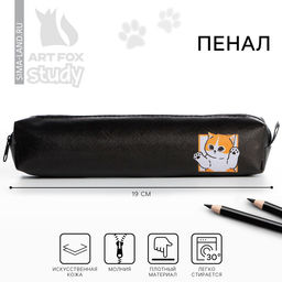 Пенал школьный, искусственная кожа«Кот»19×8×3 см