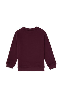 Erkek _ocuk Bordo Bisiklet Yaka Basic Sweatshirt - U.s. polo assn фото 2
