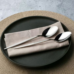 ISTANBUL Набор ложек столовых 2 шт. арт. DMC161