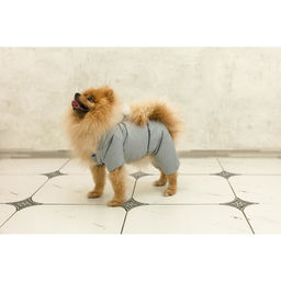 Комбинезон зимний для животных, флис, XS (ДС 18-20, ОГ 30-32 см, ОШ 24 см), серый - Пижон фото 11