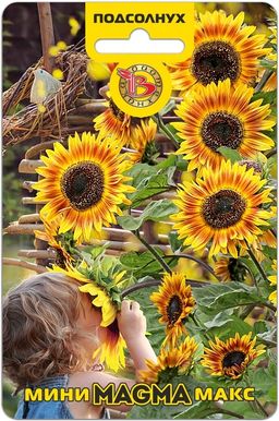 Подсолнух Мини-Макс Magma