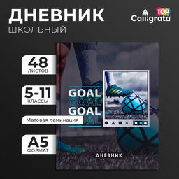 Дневник школьный для 5-11 классов, «Футбольный мяч», твёрдая обложка 7БЦ, матовая ламинация, выборочный лак, 48 листов