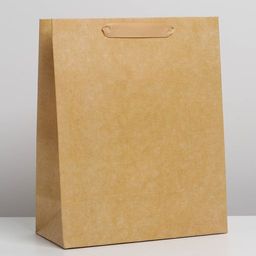 Пакет ламинированный Крафтовый, M 25.5 х 32 х 12 см