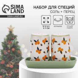 Солонка и перечница новогодние Апельсины, 12?6.5?7 см, ручная работа