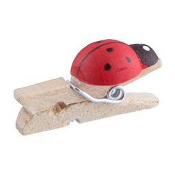 Blumentag WCLM-25 Декоративные прищепки 5 х 24 шт. 2.5 см 118 натуральный