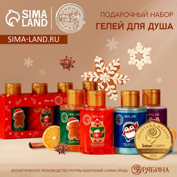 Гель для душа Happy New Year, набор 4100 мл, URAL LAB