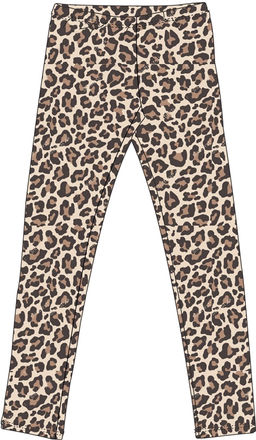 легинсы 1ДРЛ3848001н