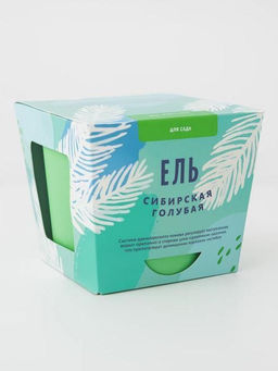 Набор для выращивания "Тысяча листьев", "Ель сибирская голубая"