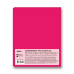 Светоч Тетрадь предметная School Life A5 40 л. на скобе 60 г/кв.м , белизна 100 % 10 шт. , клетка 40ТСК5_000109 Физика