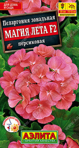 1657A Пеларгония Магия лета F2 персиковая 5шт