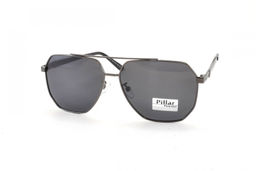 PILLAR POLARIZED 6010 С3 58-16-140