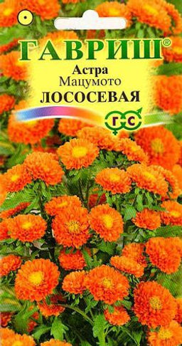 Мацумото лососевая астра (г)