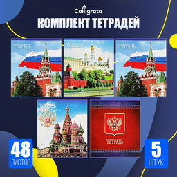 Тетради 48 листов в клетку «Россия», серые листы, 5 штук