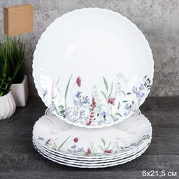 Набор тарелок 6 штук 215 мм / LHP-85XN (7521) /уп 8/ 748963