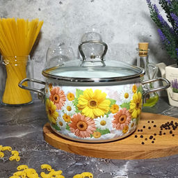 Кастрюля 4.0л сф. Фернанда/Fernanda 1SC205S белосн.