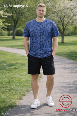 Мужская футболка с принтом