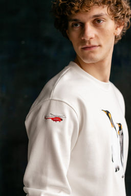 Свитшот мужской Penguins - Captain's mate фото 5