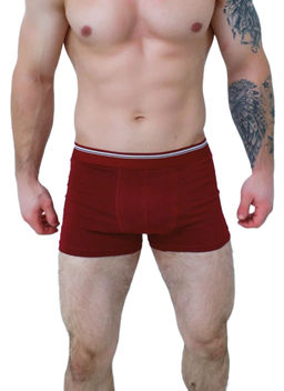 Мужские трусы Berrak 1097  фото 16