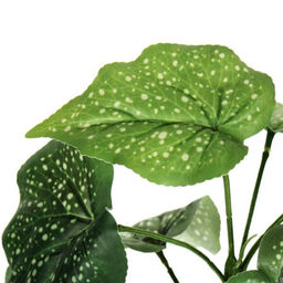 Зелень искусственная Бегония 30 см / W335115 /уп 400/ - Галеонтрейд фото 9