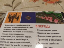 Обустройство в мире Minecraft. Неофициальное руководство для игроков