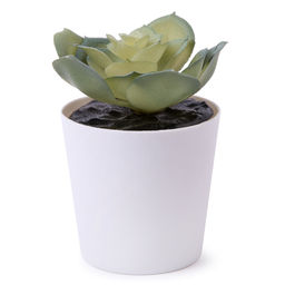 Искусственное растение Blumentag ATF-03 Растение искусственное в кашпо 6 х 8.5 см 1 шт. 01