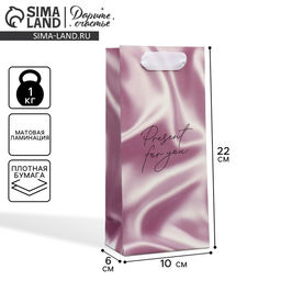 Цена за 2 шт. Пакет подарочный ламинированный, упаковка, Present for you, 10 х 22 х 6 см