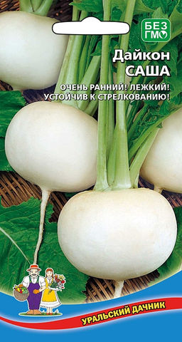Дайкон САША  Белые, как первый снег, ровные шары-корнеплоды, массой до 300 г! Полезен, не накапливает нитратов! Ах, какой он вкусный в салатах...