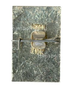 Значок Владимир