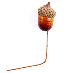 Декор для творчества «Желуди» набор 20 шт., 3×2 см