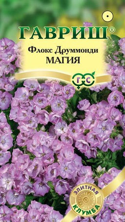 Магия друммонда флокс 8шт (г)