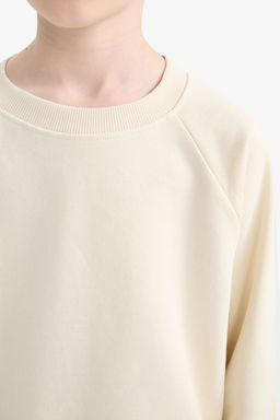 Bisiklet Yaka Basic D_z Okul Sweatshirt Erkek _ocuk - Defacto фото 5