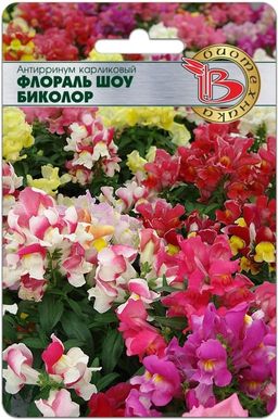 Антирринум карликовый Флораль Шоу Биколор