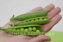 Горох овощной Премиум - Партнер фото 4