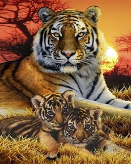 Тигрица с тигрятами