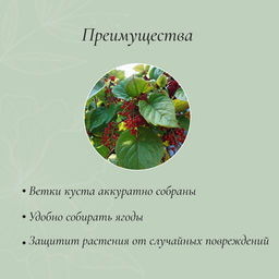 Цена за 2 шт. Кустодержатель, d=40 см, h=60 см, ножка d=1 см, металл, набор 2 шт., зелёный - Simaland фото 3