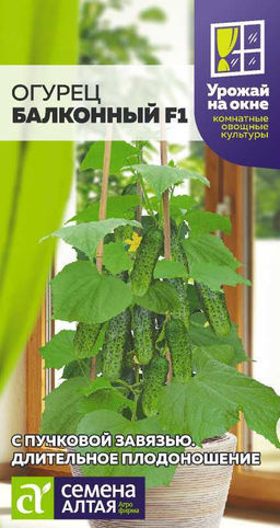 Огурец Балконный F1/Сем Алт/цп 5 шт. УРОЖАЙ НА ОКНЕ! (2030 / 422)