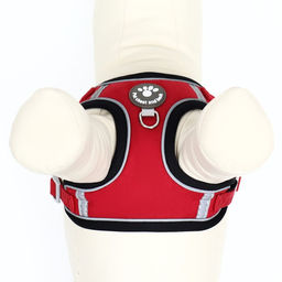 Комплект Sport+, М, поводок 120 x 1,5 см, ОШ 44-48 см, ОГ 51-60 см, вес животного 14-20 кг, красный - Пижон фото 8