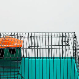 Клетка для грызунов Пижон №4, с этажом, укомплектованная, 37х26х18 см, бирюзовая  фото 6