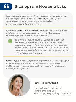 Ежовик гребенчатый