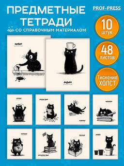 Комплект тетрадей 48л. "BAD CAT" - 10 предметов (48-4493, Prof-Press) тиснение "холст"