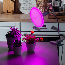 LED-U150-16W/SPSB/E27/FR PLP30WH Лампа светодиодная для растений. Форма UFO, матовая. Спектр для рассады и цветения. Картон. ТМ Uniel