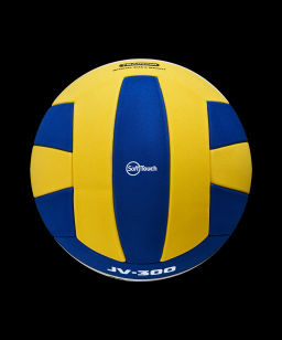 Мяч волейбольный JOGEL JV-300  фото 4