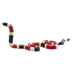 Коралловая змея