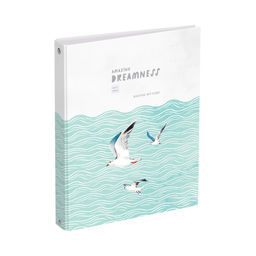 Тетрадь 120л. на кольцах "Красивый полет", сменный блок (ТТ5к120_лг 11363, "BG") глянцевая ламинация