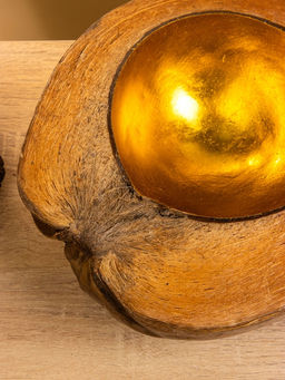 Чаша из кокоса, 22×24.5×9 см, коричнево-золотая