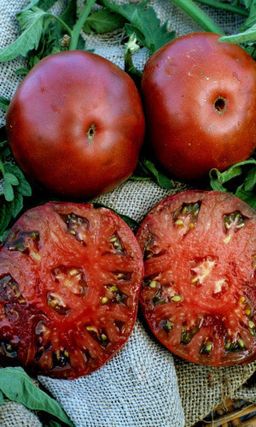 Томат ЧЁРНЫЙ ПРИНЦ  десертный сорт! Салатный крупноплодный сорт! настоящее искушение вкусом! Устойчив к болезням!