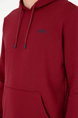 Мужской бордово-красный базовый свитшот - U.s. polo assn фото 7