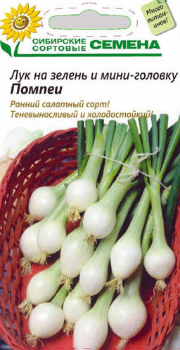 Помпеи лук на зелень и мини головку 0,3гр (ссс)