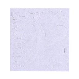 Набор для опытов Эпоха динозавров, скелет трицератопса - Эврики фото 5